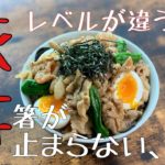 【豚丼の作り方】レベルが違う！箸が止まらないおいしさ