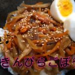 豚肉きんぴらごぼう丼