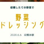 野菜ドレッシング作り【収穫体験&オンラインイベント】