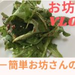 お坊さんブイログ ②畑にある野菜料理/精進料理/ちょ-簡単レシピ/야채무침
