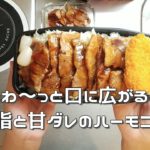 簡単レシピ 十勝豚丼の作り方。北海道帯広のグルメ 弁当のおかず