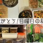 【週末の作り置き】1週間分の副菜をまとめて作る!ズボラ節約料理