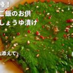 副菜を簡単3分！別名ごはん泥棒！青じそのおいしいご飯のお供