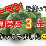 ピーマンを使って副菜3品作ってみました😋