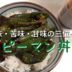 【タモリレシピ】#4「ピーマン丼」