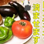 【超時短】暑くても平気! 夏野菜を美味しく食べる「レンチンラタトゥイユ」の作り方/Ratatouille ~ Swindの名古屋めし的料理教室オンライン
