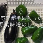 （ナス・ピーマン大量消費メニュー）野菜味噌の作り方！