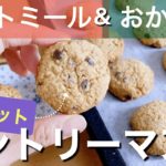 【ダイエット中おやつ】オートミールとおからパウダーでカントリーマアム｜レシピ｜作り方｜クッキー｜お菓子｜スイーツ｜イヌリン｜便秘解消
