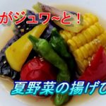 夏野菜の揚げびたし♪