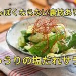 【レシピ・作り置き・副菜・おつまみ】水っぽくならない裏技あり！じゃこときゅうりの塩だれサラダ