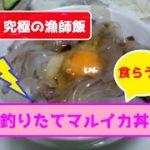 漁師が教える 究極の漁師飯【マルイカ丼】の作り方