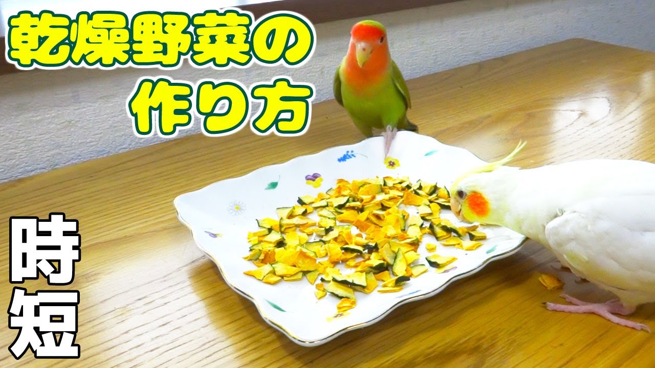 時短 乾燥野菜 かぼちゃチップ の作り方 ペット 小動物 小鳥 に手作りがおすすめ レシピ動画