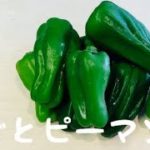 丸ごとピーマン煮:種まで美味しい:簡単おかず:おつまみ、お弁当: