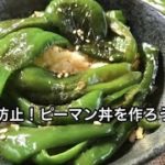 夏バテ防止「ピーマン丼」の作り方！ヒルナンデスで話題のリュウジさんの簡単丼ぶりレシピ