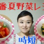 【大量消費したいとき】おすすめ夏野菜レシピ