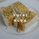 【vlog】お取り寄せスイーツチーズケーキ食べ比べ、onukさんのレシピ再現