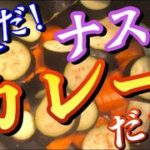夏野菜カレー〜公式レシピの分量は0.625倍という答えが出ました〜
