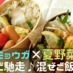 【朝10分でお弁当】麺つゆで簡単!ミョウガと夏野菜の混ぜご飯弁当【山形のダシ進化レシピ】