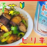 【すぐ作れる】夏野菜のピリ辛そぼろ炒めレシピ【3分でできる】