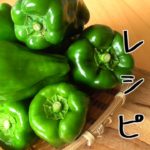 【ピーマンレシピ5選】簡単!時短!ピーマンレシピです