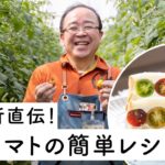 【直売所直伝ミニトマトレシピ】5分でできる簡単・美味しいレシピ2品＆畑ツアーで初めて知った「ミニトマトは黄色のほうが〇〇！？」【朝採れ野菜】