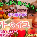 【夏野菜たっぷり！ラタトゥイユ】つくりおきにもオススメ☆ののママキッチン