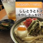 【麺アレンジ】ししとうとトマトの冷やしぶっかけうどん
