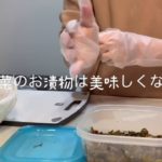 貧乏カップル♡不味い高菜漬けでお弁当作る