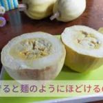 金糸瓜の処理法＆レシピ（能登島・坂尻農園おすすめ）