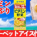 シャーベットアイスの作り方!野菜ジュースで栄養満点ヘルシー簡単レシピ