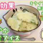 【美肌効果】まろやかキウイアイス 簡単 作り方 レシピ 豆乳 米麹甘酒 はちみつ 塩麹