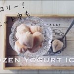 世界一簡単なアイス【フローズンヨーグルト】作り方　ヘルシースイーツ！