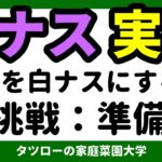 [実験]ナスから白ナスの作り方　再チャレンジ　　　　　野菜　方法／作り方／やり方／なす／白なす／夏休み／自由研究／やってみる