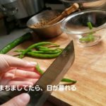 山形県小国の夏野菜でつくるそーめん