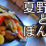 【夏野菜ぽん酢】さっぱりぽん酢と冝保愛子でこの夏を乗り切る！