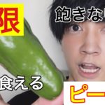 暑い今にぴったり!!夏野菜ピーマンを使った最高にお美味しいお手軽な時短レシピ!!【おつまみ】