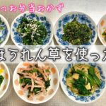 【副菜】便利な冷凍ほうれん草で作る簡単お弁当おかず☺︎
