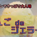 おかみvlog【クッキング】＃りんごdeジェラート＃簡単レシピ＃簡単スイーツ＃大人スイーツ