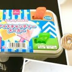 【100均】DAISOのアイスキャンディーメーカー♪簡単♪アイスの作り方♪