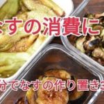 【作り置き・副菜・お弁当おかず】なすの消費に！15分で3品の作り置き
