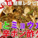鶏肉とミョウガのピリ辛ポン酢ダレ【素人男の超簡単レシピ･作り方#209】お弁当のオカズにしないならタレは炒めず生でもＯＫ