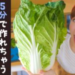 【白菜レシピに困ったら】超簡単な副菜レシピ3品！大量消費していきます！