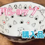 【300円ショップ】購入品の丼にすいとんの朝ごはん