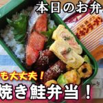 【お弁当  #36 】忙しい朝でも簡単に手抜きに見えない！ 焼き鮭弁当  ♪  節約弁当  時短弁当  お弁当作り  簡単レシピ  概要欄も見てね～✨