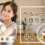 #8 ヘルシー!手作り犬ごはん「野菜とチキンのジュレ和え」