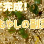【時短レシピ】お財布に優しいもやしで副菜