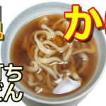 手打ち　かけうどん