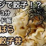 【レンジ簡単】冷凍餃子丼　ずぼら飯料理レンジレシピ