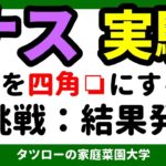 [実験]ナスから四角いナスの作り方　再挑戦　結果発表　野菜　方法／作り方／やり方／なす／夏休み／自由研究／やってみる