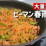 【簡単おかず】お弁当やおつまみにも♡無限に食べられるピーマン春雨炒めの作り方【大量消費】